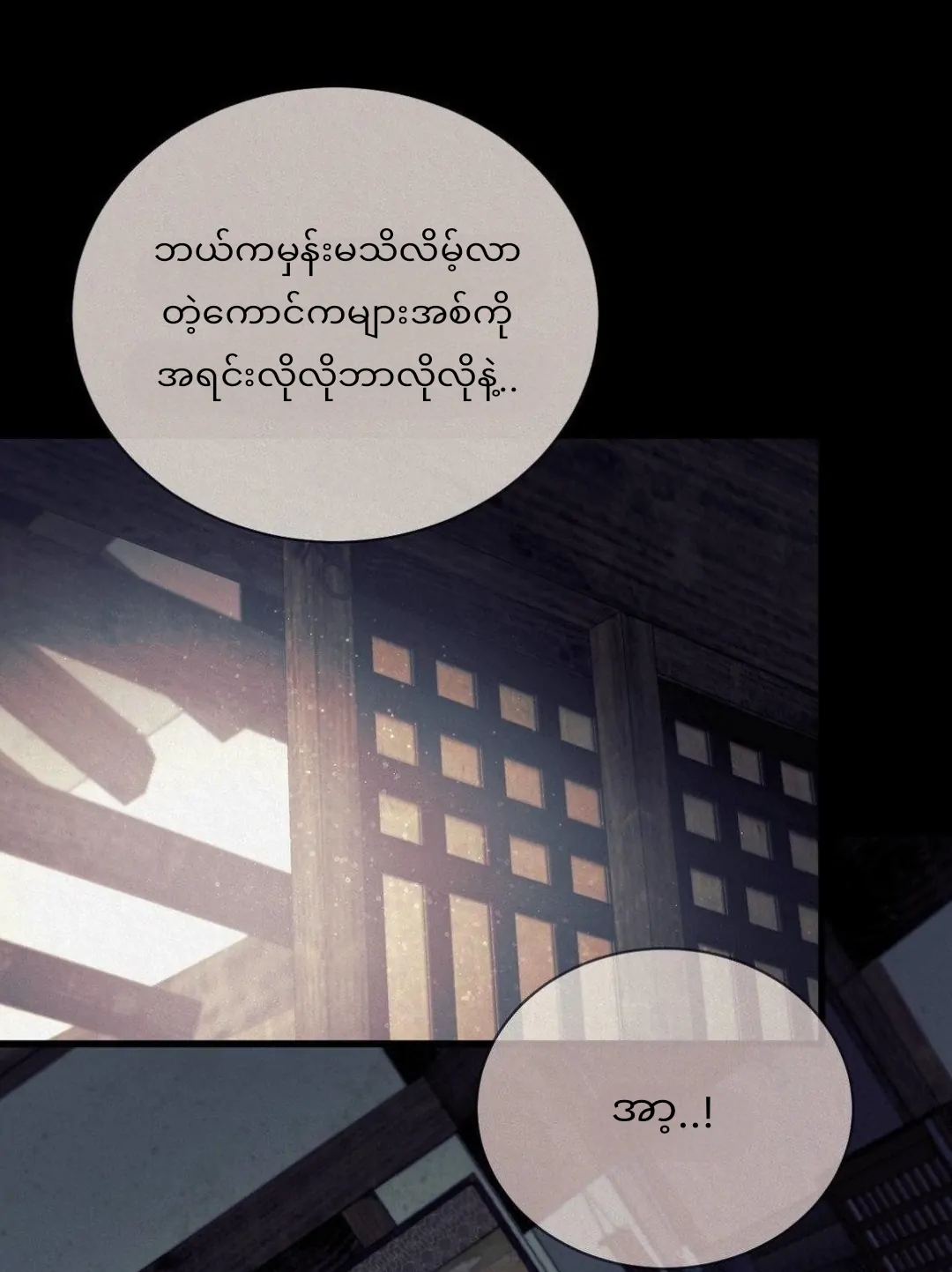 68881494 1080 1443 64572